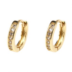 Piercing Hoops (par)