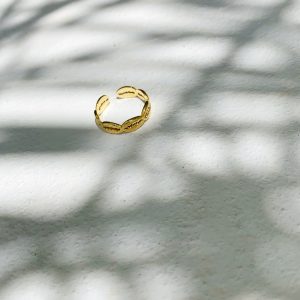 Anillo Conchitas